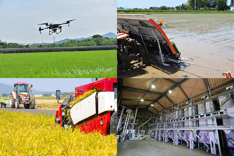 小島ファームについて | 株式会社小島ファーム｜三重県松阪市・津市で